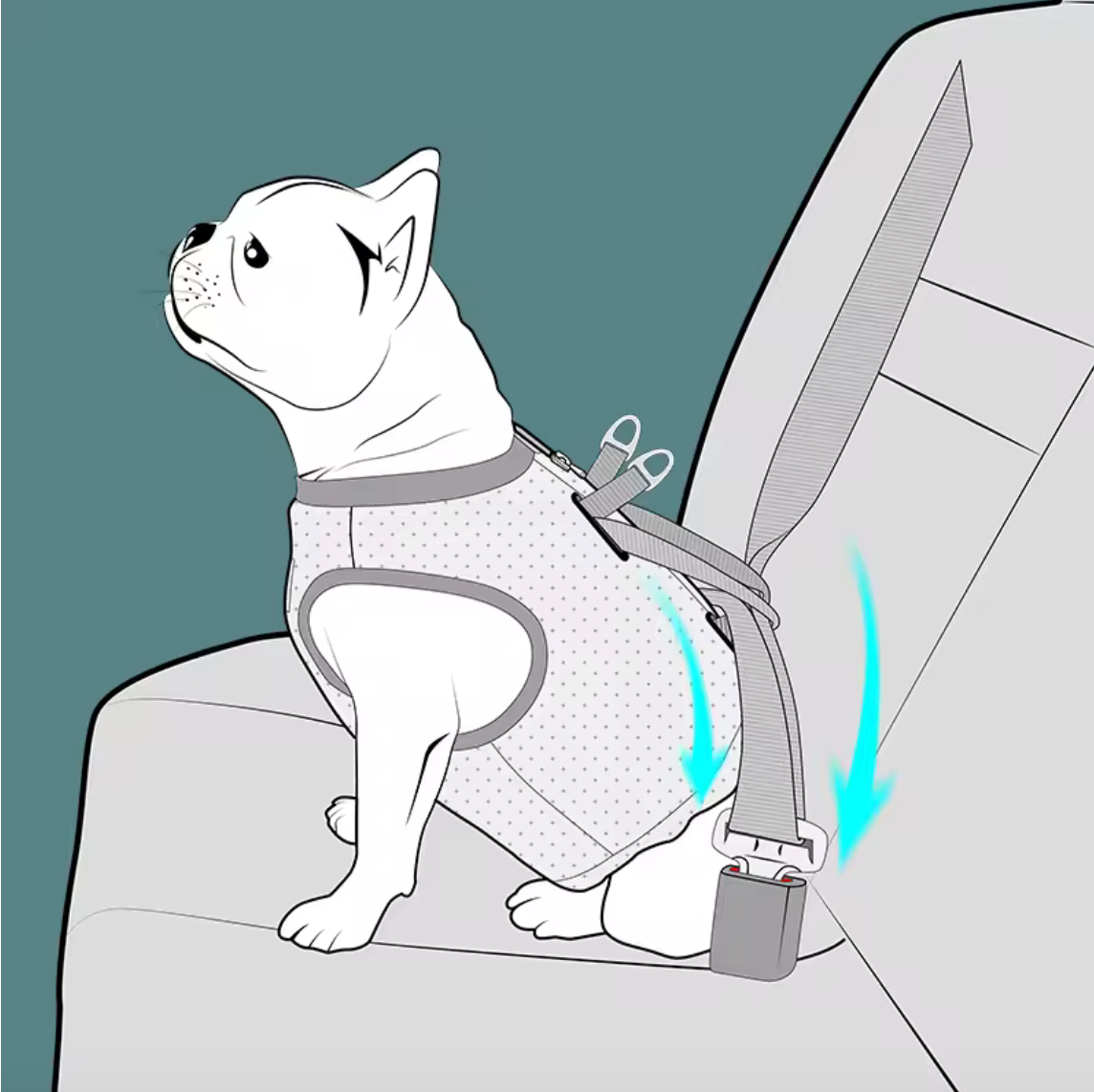 3-in-1 Hundeweste & Sicherheitsgeschirr, True Love for Dogs, Reisen, Spaziergänge und heiße Tage. Sie schützt deinen Hund bei plötzlichen Bremsungen im Auto,
