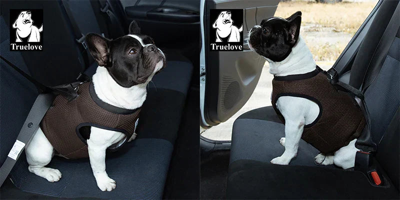 3-in-1 Hundeweste & Sicherheitsgeschirr, True Love for Dogs, Reisen, Spaziergänge und heiße Tage. Sie schützt deinen Hund bei plötzlichen Bremsungen im Auto,