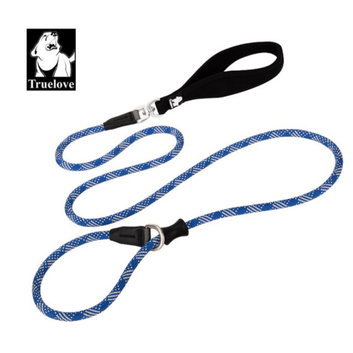 Retrieverleine - 2 in 1 Hundehalsband mit Leine
