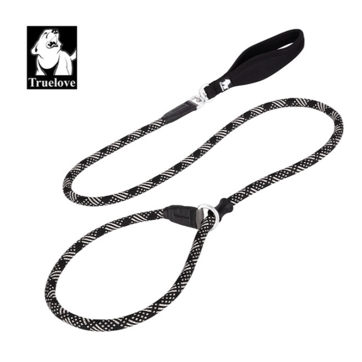 Retrieverleine - 2 in 1 Hundehalsband mit Leine