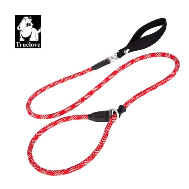 Retrieverleine - 2 in 1 Hundehalsband mit Leine