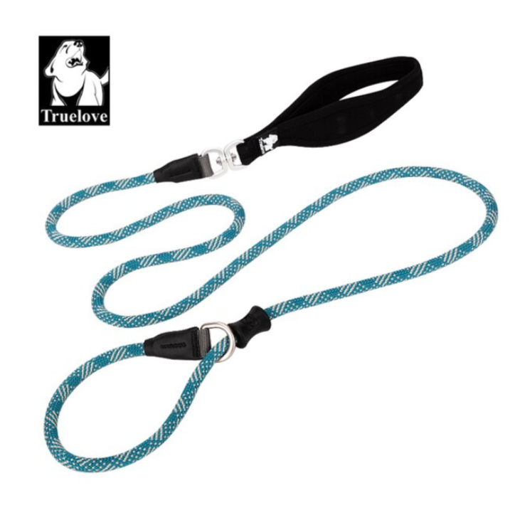 Retrieverleine - 2 in 1 Hundehalsband mit Leine