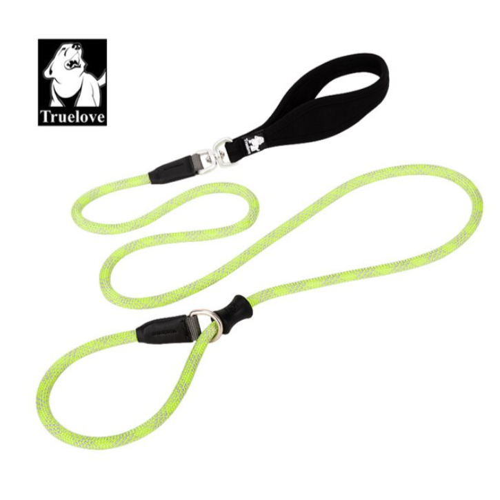 Retrieverleine - 2 in 1 Hundehalsband mit Leine