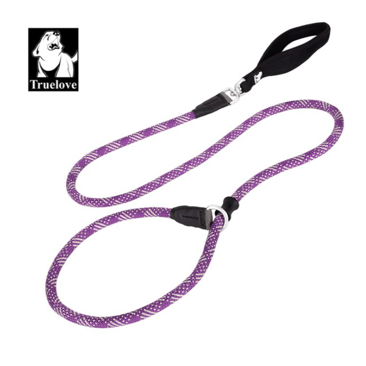Retrieverleine - 2 in 1 Hundehalsband mit Leine