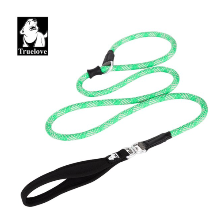 Retrieverleine - 2 in 1 Hundehalsband mit Leine