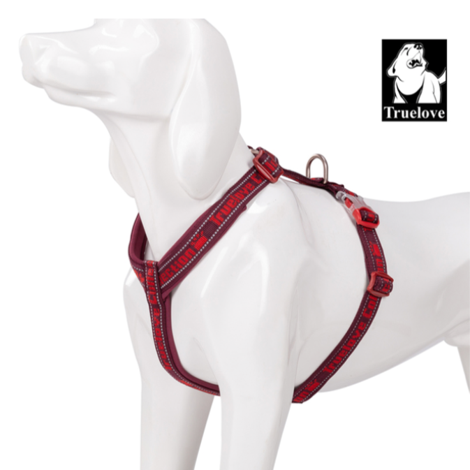 "TRUE LOVE COLLECTION" Sportliches Hundegeschirr