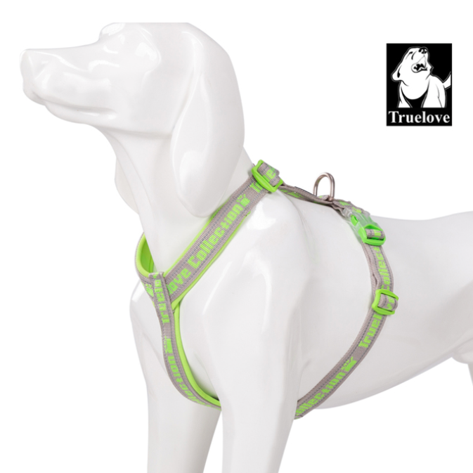 "TRUE LOVE COLLECTION" Sportliches Hundegeschirr