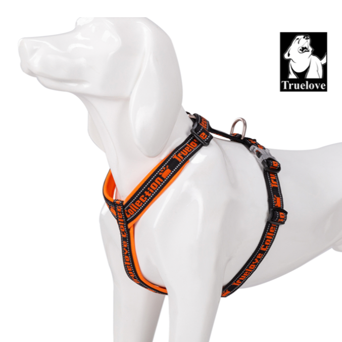 "TRUE LOVE COLLECTION" Sportliches Hundegeschirr