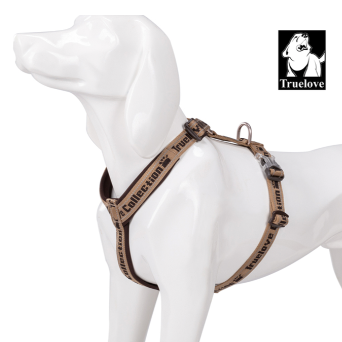 "TRUE LOVE COLLECTION" Sportliches Hundegeschirr