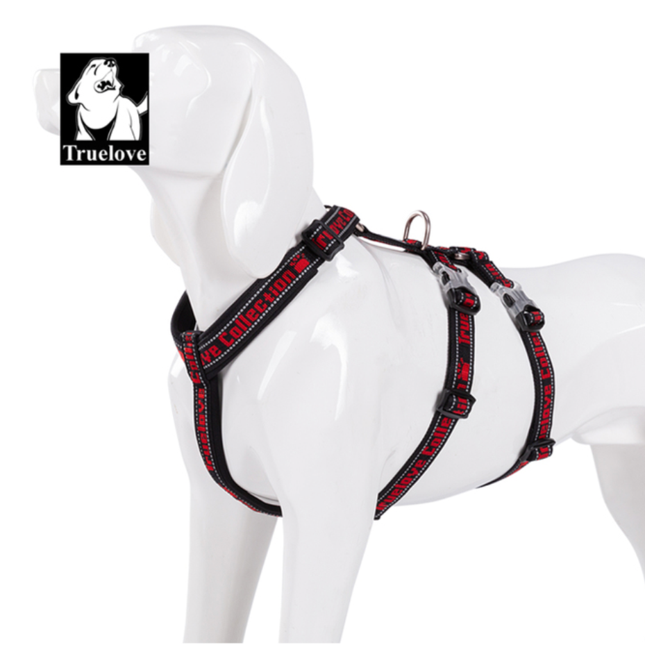 "TRUE LOVE COLLECTION" Sportliches Doppel-H-Hundegeschirr