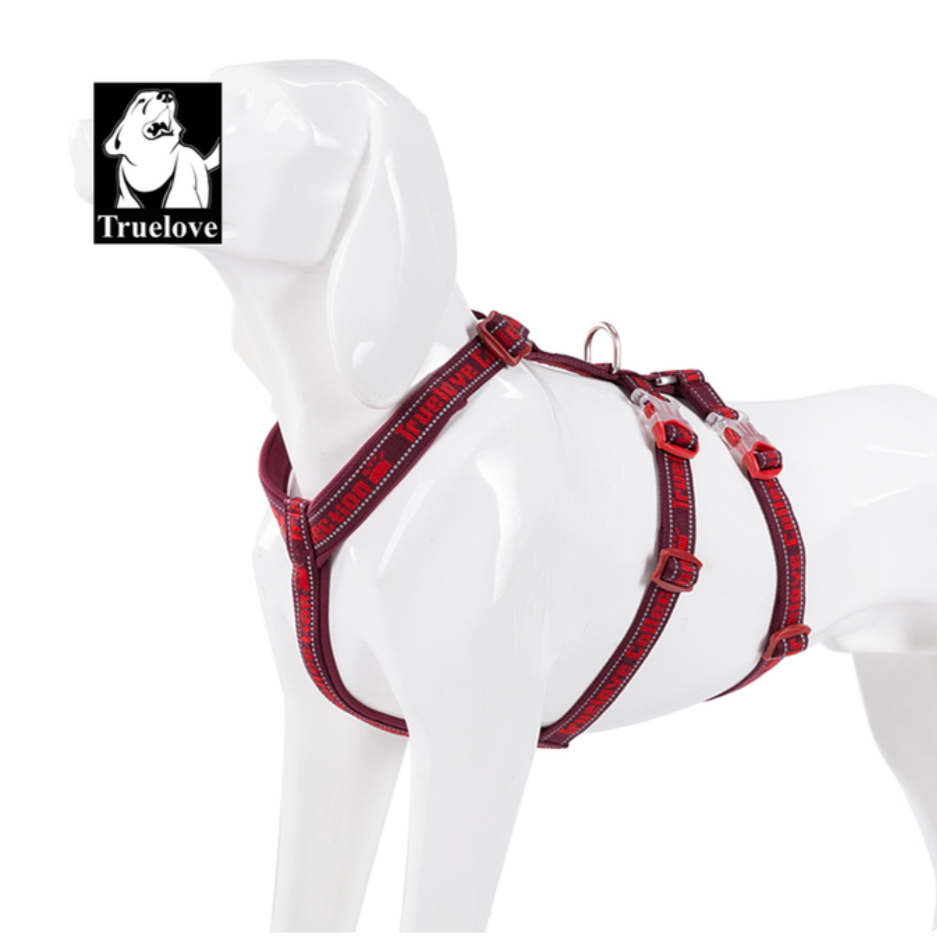 "TRUE LOVE COLLECTION" Sportliches Doppel-H-Hundegeschirr