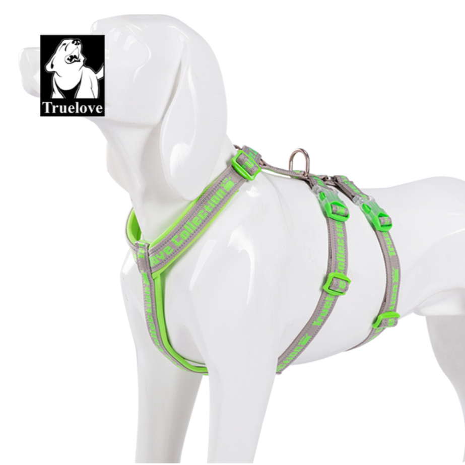 "TRUE LOVE COLLECTION" Sportliches Doppel-H-Hundegeschirr