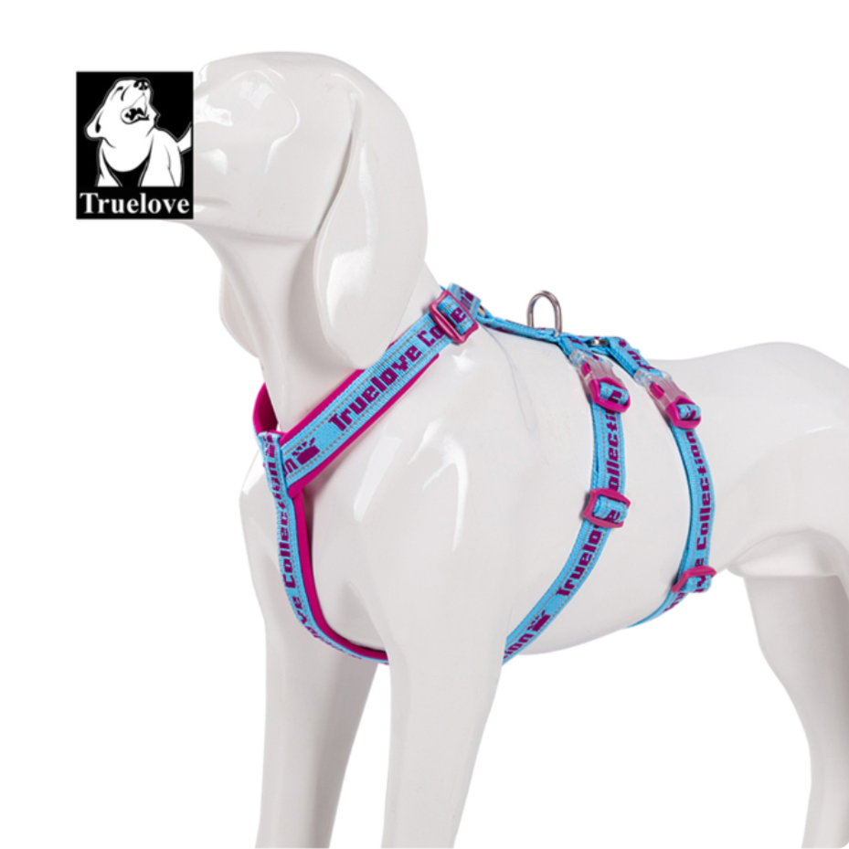 "TRUE LOVE COLLECTION" Sportliches Doppel-H-Hundegeschirr