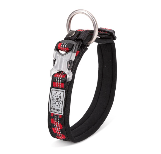 WINHYEPET Neopren gepolstertes und reflektierendes Halsband