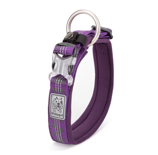 WINHYEPET Neopren gepolstertes und reflektierendes Halsband