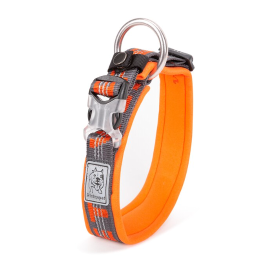 WINHYEPET Neopren gepolstertes und reflektierendes Halsband