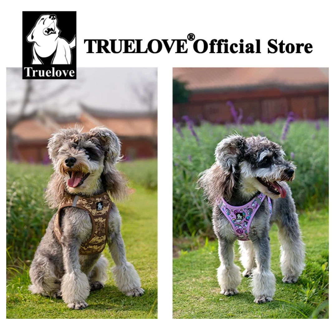 Hundegeschirr Limited Sommer Edition