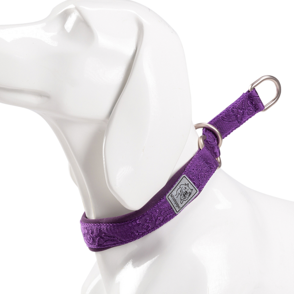 Hundehalsband Cordura - Komfort & Stil vereint