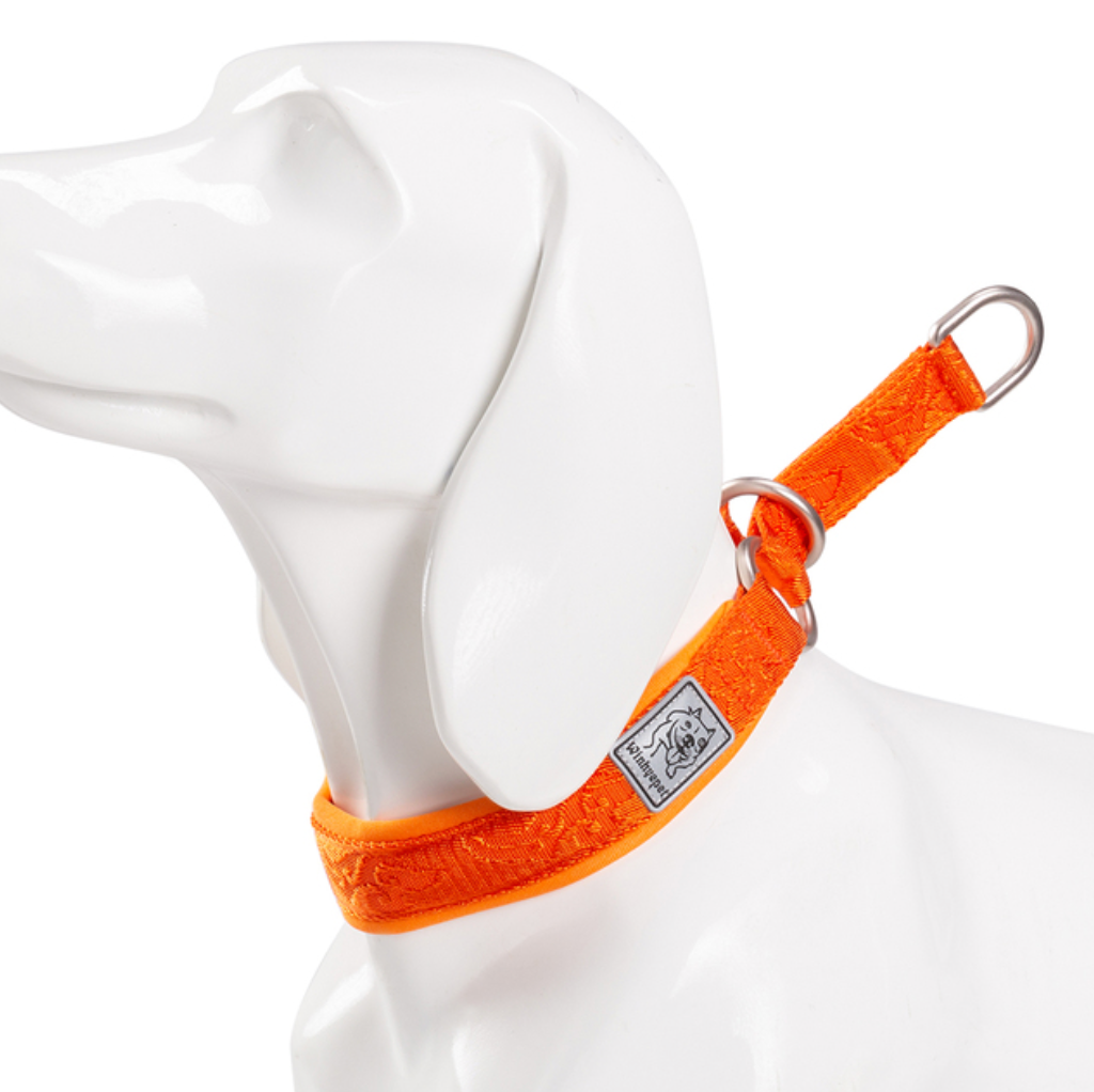 Hundehalsband Cordura - Komfort & Stil vereint