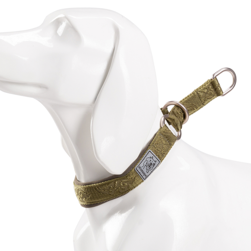 Hundehalsband Cordura - Komfort & Stil vereint