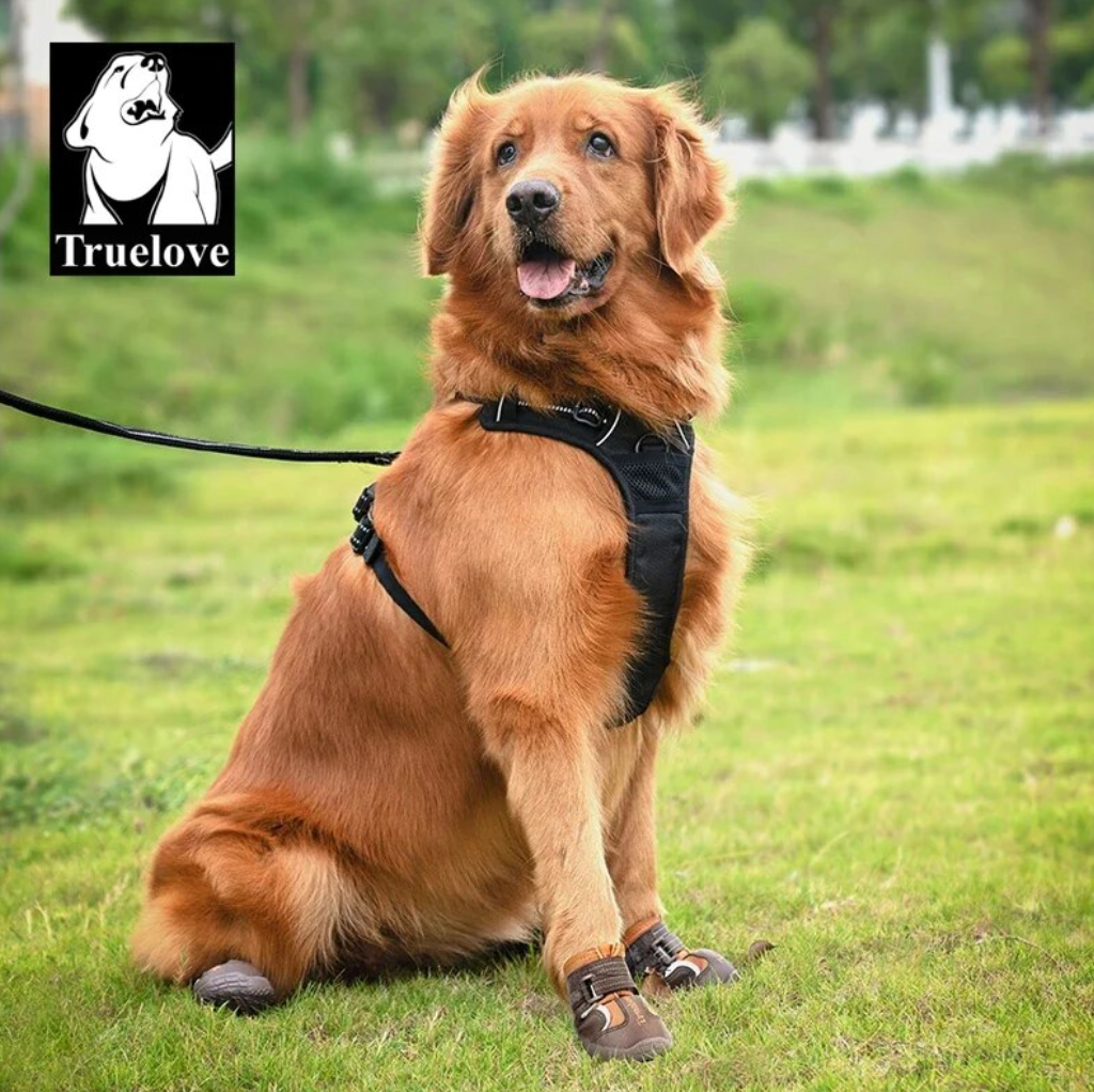 Hundeschuhe "Hooky"