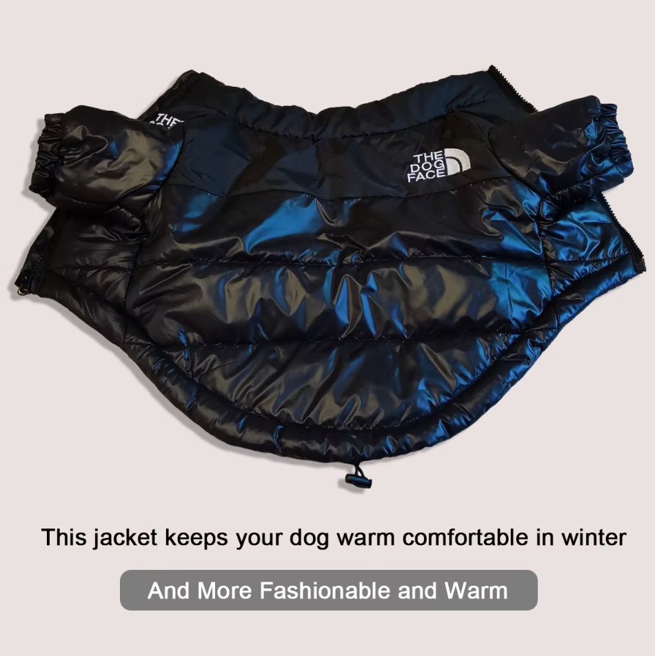 Hundewinterjacke "FOUR"