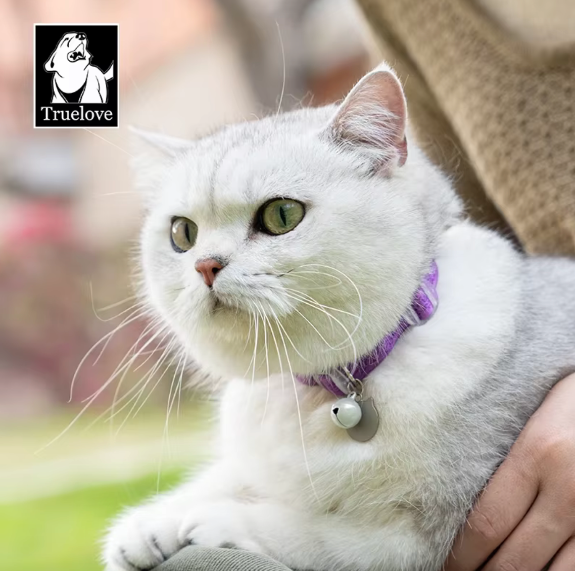 Katzenhalsband "LUNA"