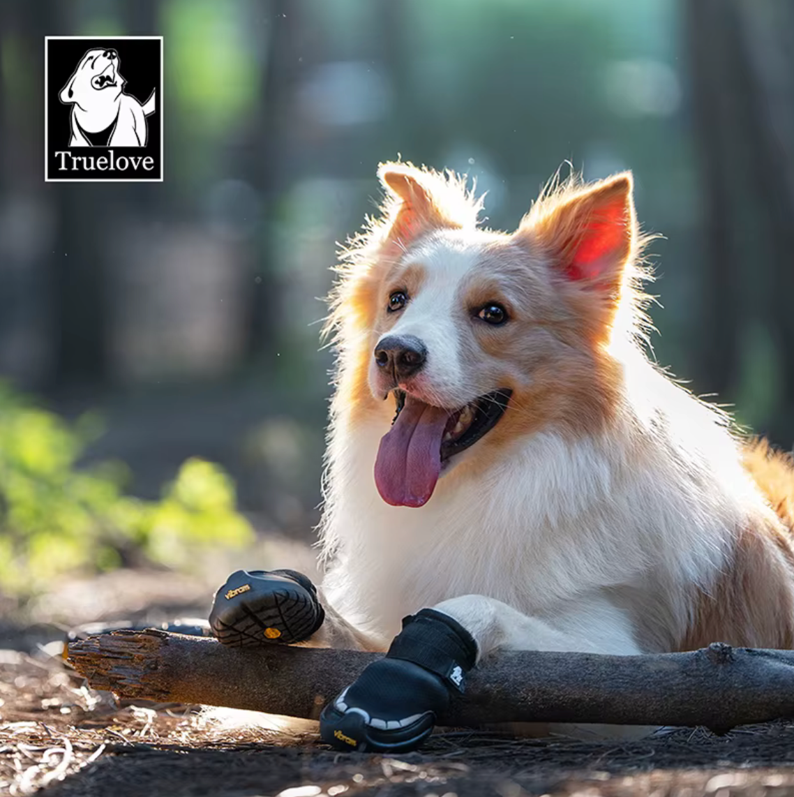 Hundeschuhe "HappyPaws"