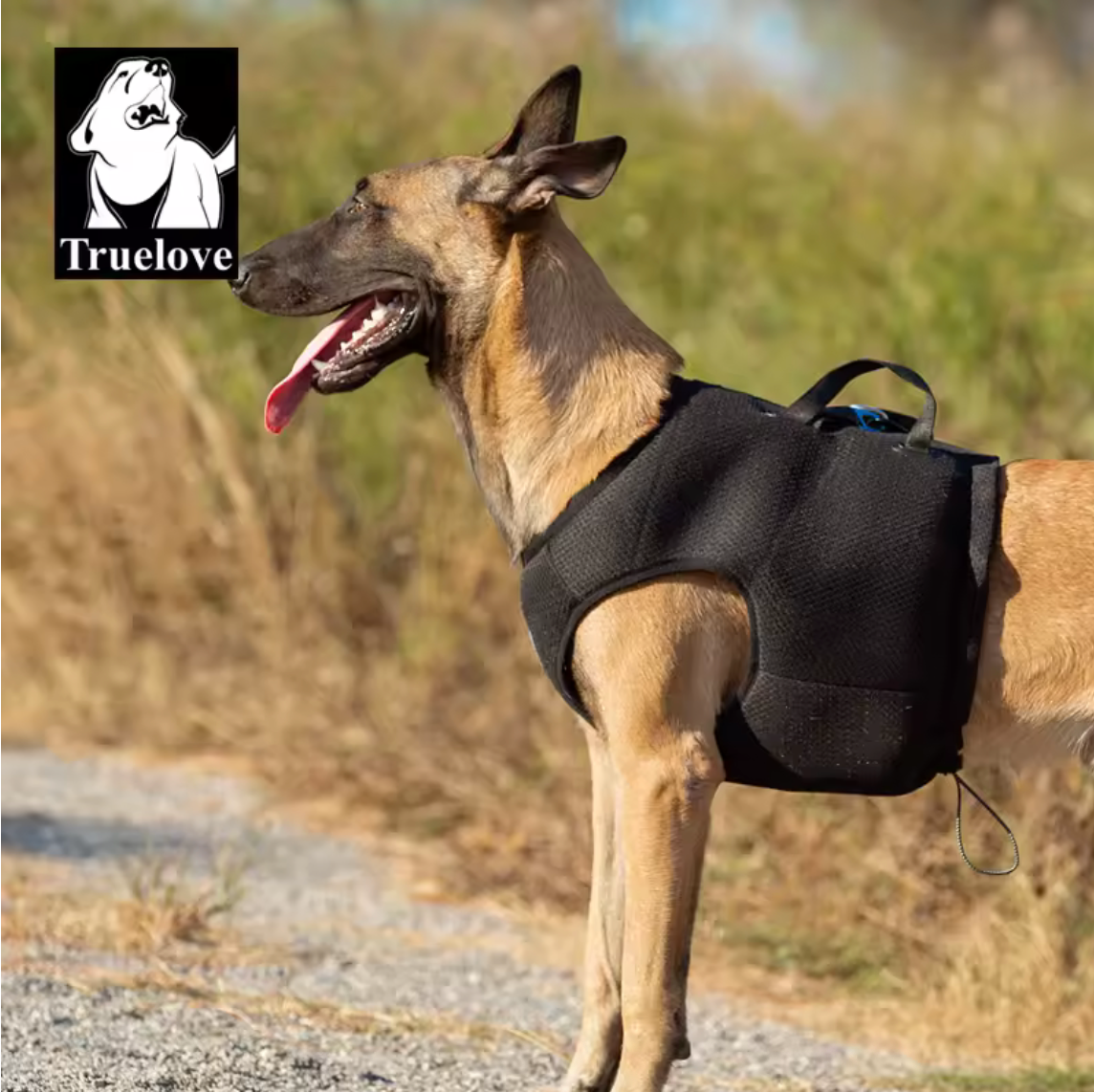 3-in-1 Hundeweste & Sicherheitsgeschirr, True Love for Dogs, Reisen, Spaziergänge und heiße Tage. Sie schützt deinen Hund bei plötzlichen Bremsungen im Auto,