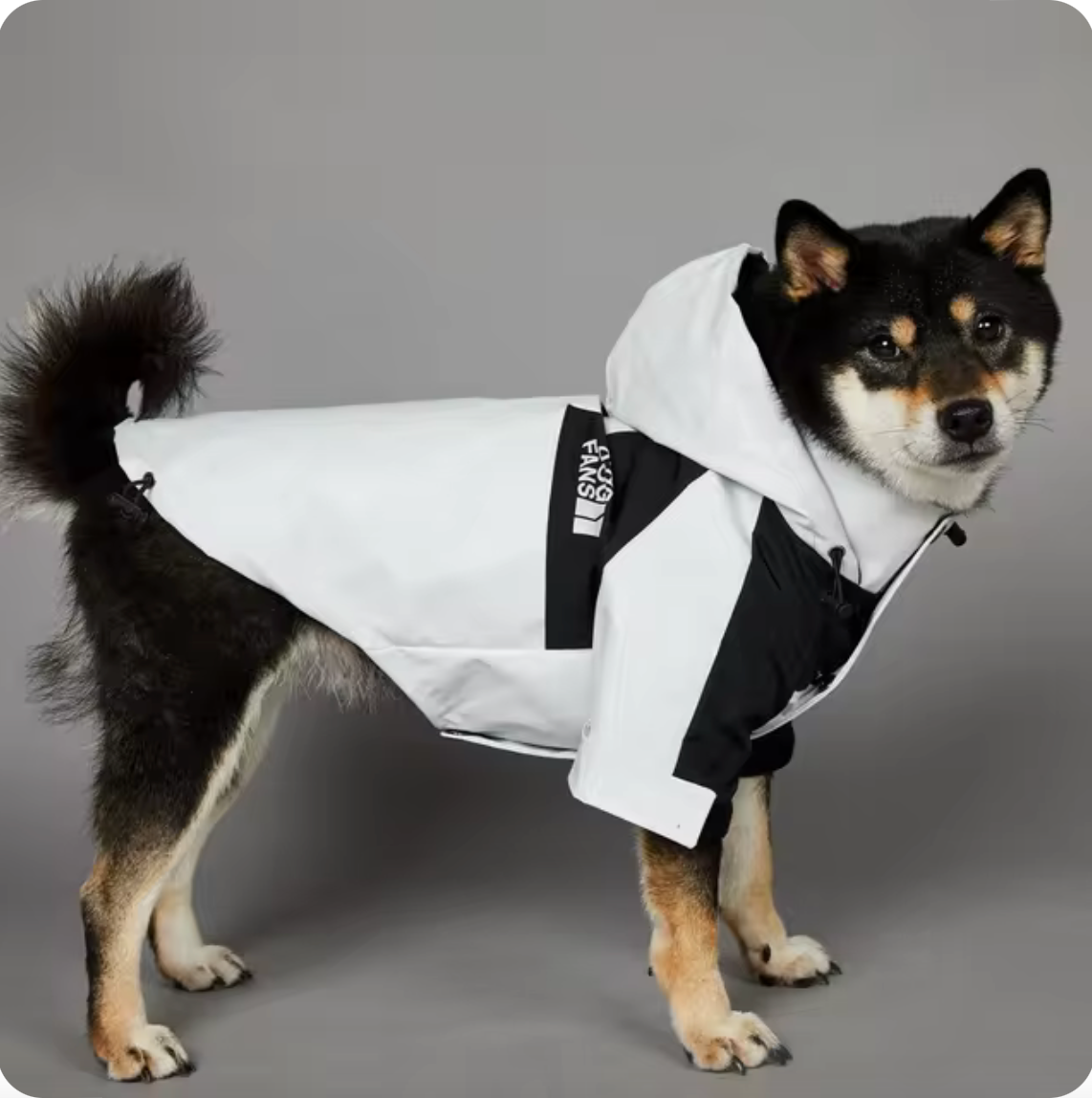 Wetterfeste Hunderegenjacke