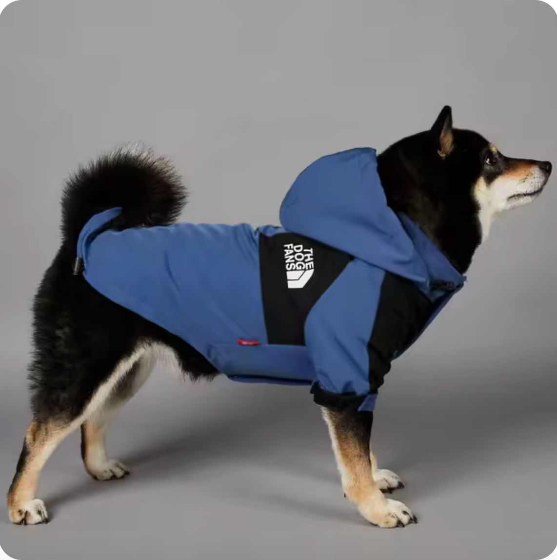 Wetterfeste Hunderegenjacke