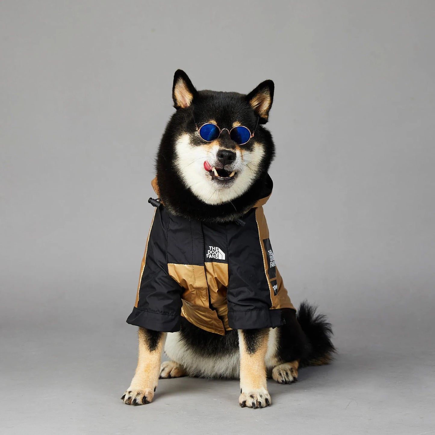 Wasserdichte Hundejacke mit Kapuze "Gold"