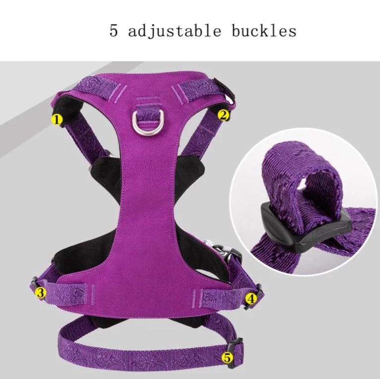 Ultraleichtes Doppel-H-Hundegeschirr Cordura