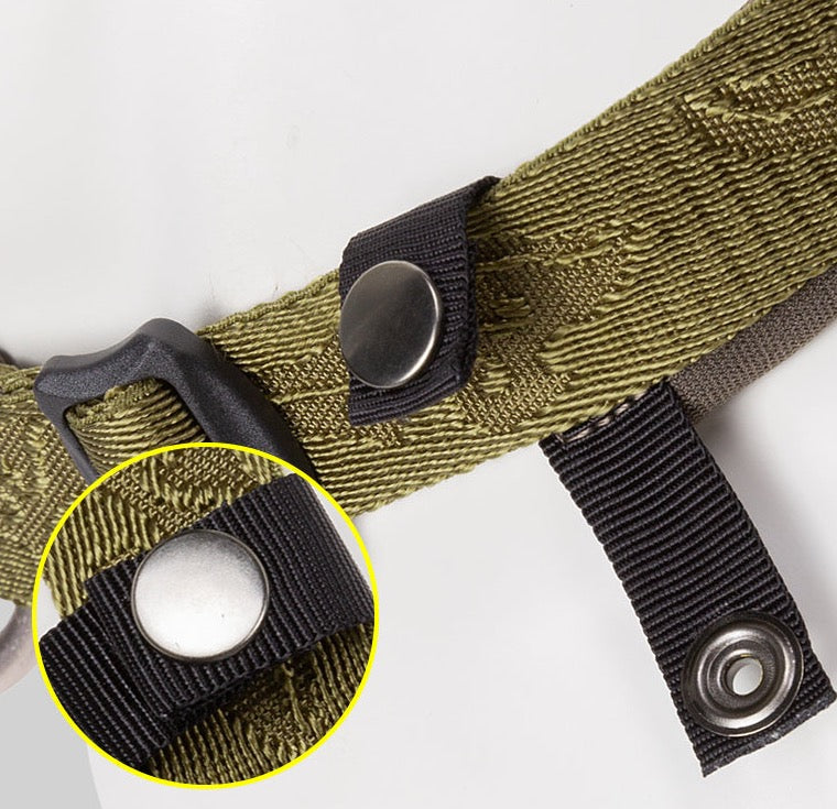 Hundehalsband Cordura - Komfort & Stil vereint