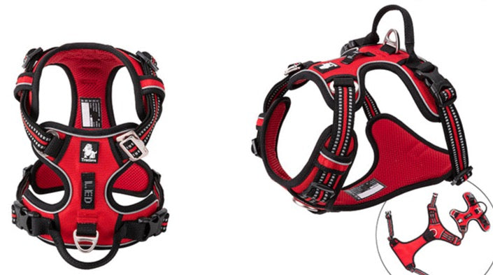 Hundegeschirr mit 3M Reflexion Hundegeschirr Dubai Edition True love