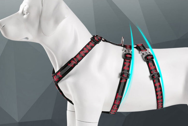 WINHYEPET Neopren gepolstertes und reflektierendes Doppel-H-Hundegesch