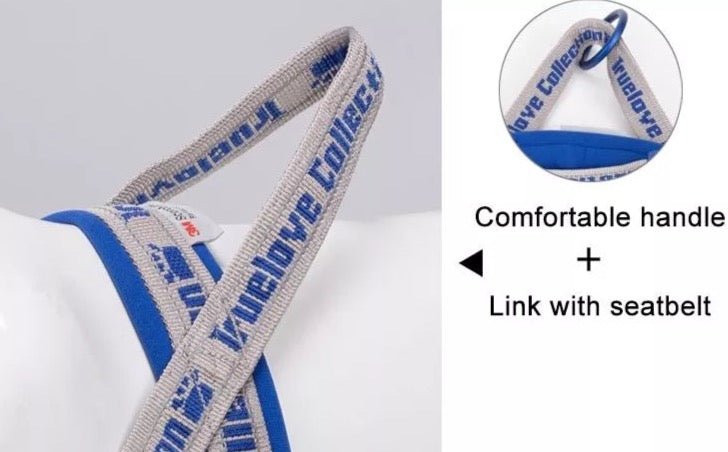 Sportliches Norwegergeschirr "TRUE LOVE COLLECTION"