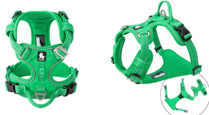 Hundegeschirr mit 3M Reflexion Hundegeschirr Dubai Edition True love