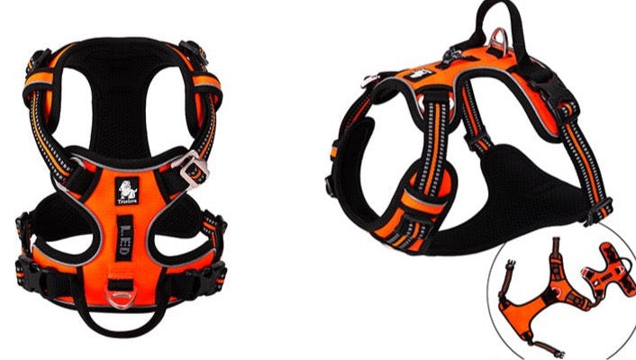 Hundegeschirr mit 3M Reflexion Hundegeschirr Dubai Edition True love