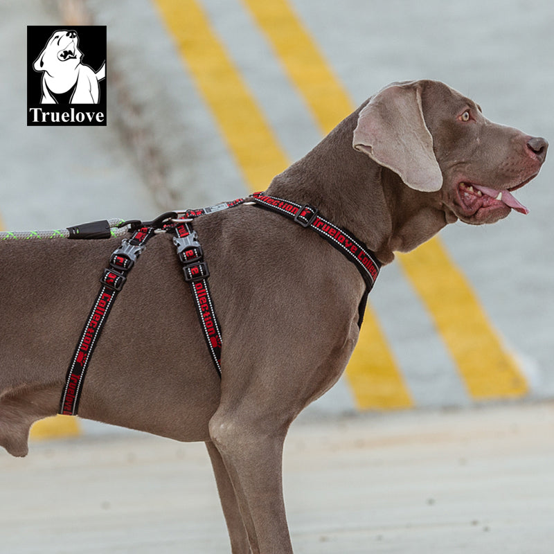 "TRUE LOVE COLLECTION" Sportliches Doppel-H-Hundegeschirr