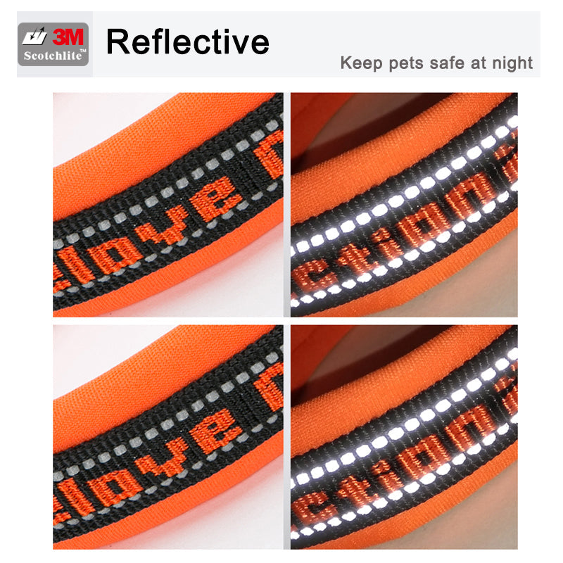 Hundehalsband "TRUE LOVE COLLECTION" Sportliches Neopren gepolstertes und reflektier