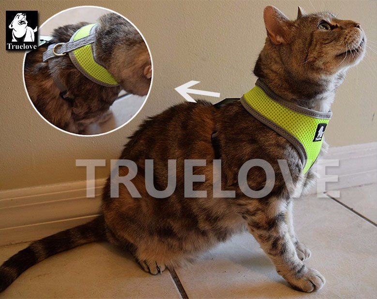 Hundegeschirr aus softem Air Mesh