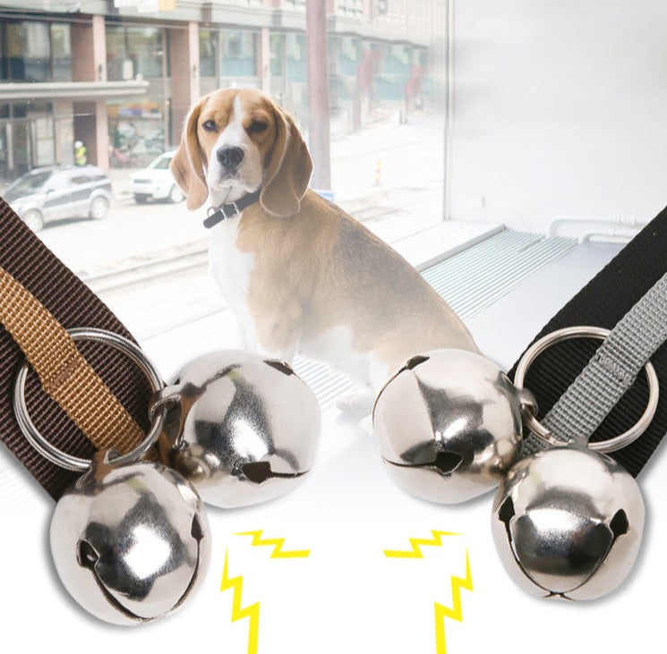 Hundetraining Türklingel