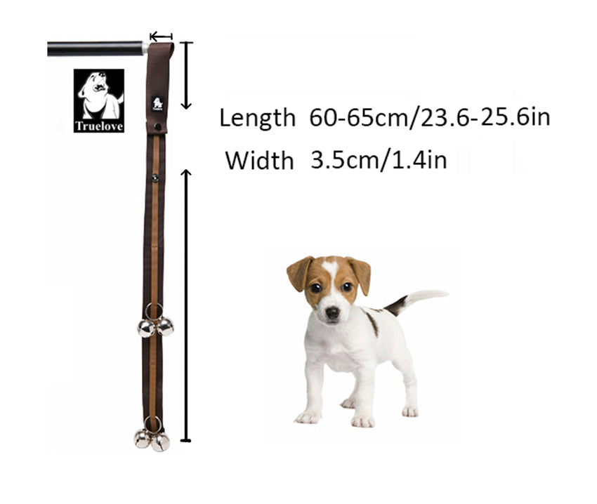 Hundetraining Türklingel
