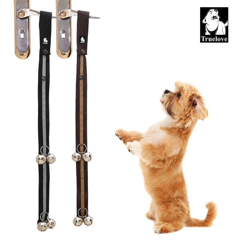 Hundetraining Türklingel