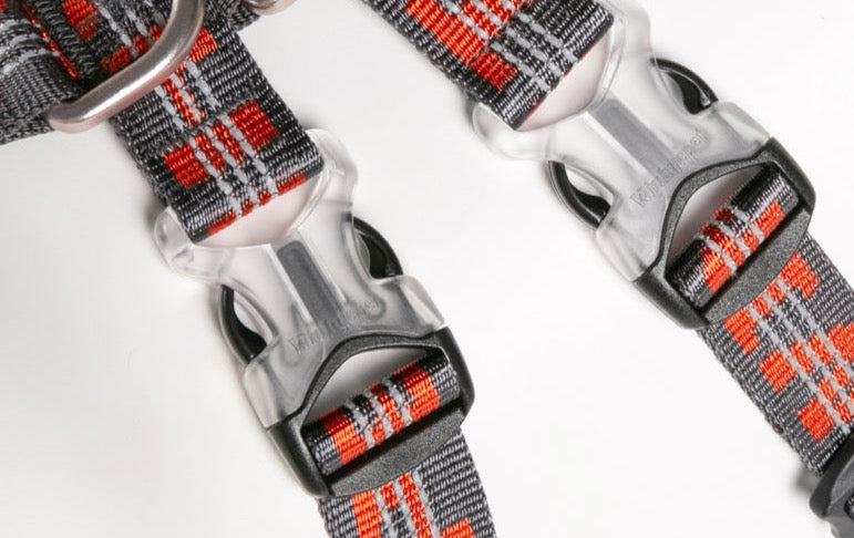 WINHYEPET Neopren gepolstertes und reflektierendes Doppel-H-Hundegesch