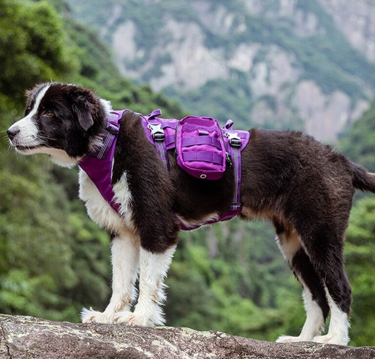 WINHYEPET 2 in 1 Military Hundegeschirr mit abnehmbaren Taschen Air-Me