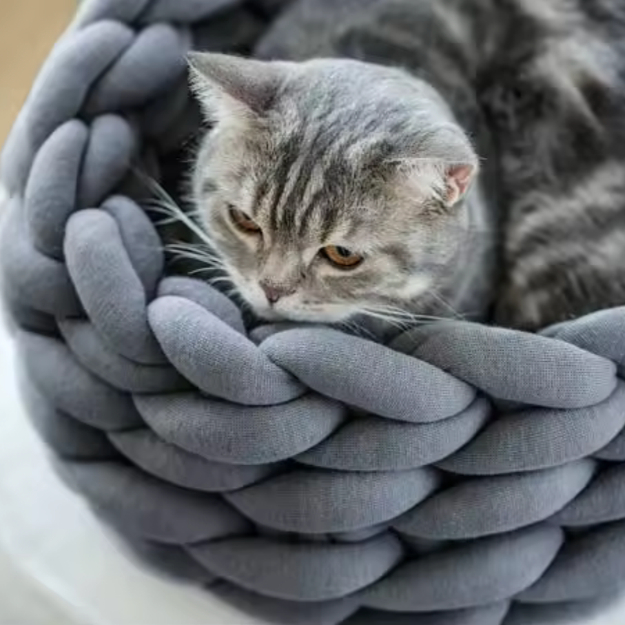 Handgewebtes Katzenbett Grey cat resting in a handmade blue chunky knit cat bed on a light carpet – modern and cozy pet furniture design. Graue Katze liegt entspannt in einem handgewebten, blauen Katzenbett aus dickem Chunky-Strick auf einem hellen Teppich – modernes und gemütliches Design für Haustiere.