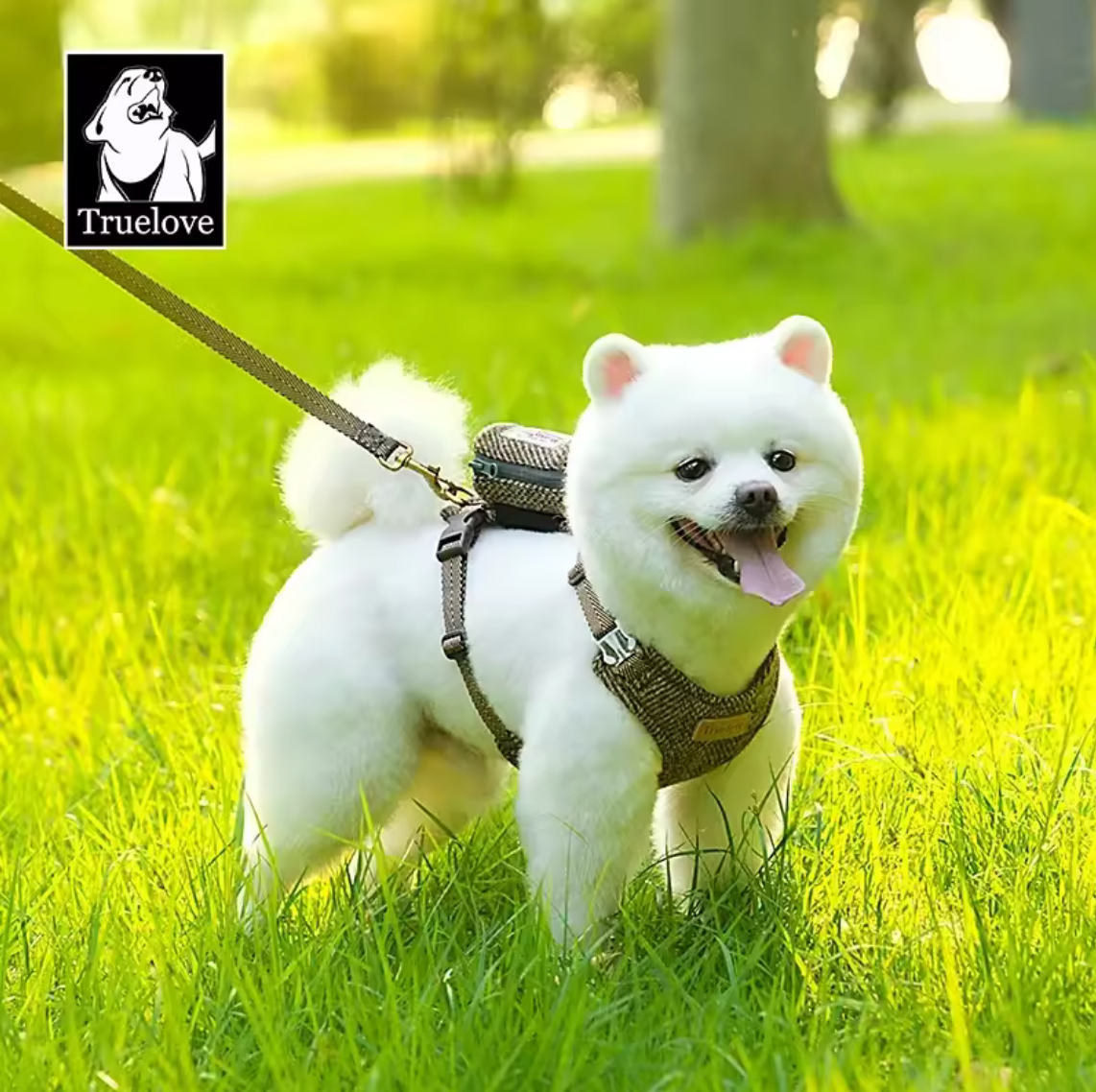 Harris Tweed Hundegeschirr + Leine + Tasche (3er Set)