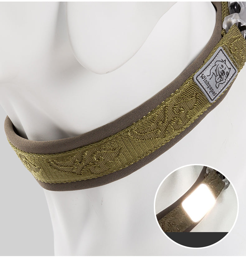 Hundehalsband Cordura - Komfort & Stil vereint